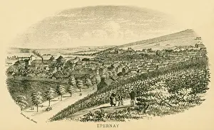 Vineyards: EPERNAY VINEYARDS, 1877