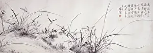 Epidendrum: Epidendrum, bamboo, and rocks