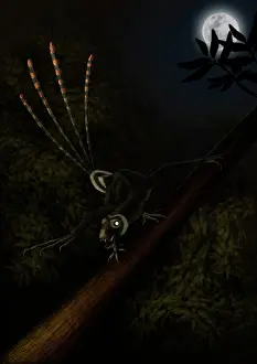 Maniraptora: An Epidexipteryx reacts aggressively in a prehistoric forest