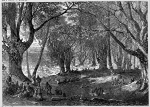 Compose: EPPING FOREST
