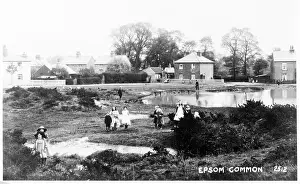 Ponds: Epsom Common, Epsom, Surrey