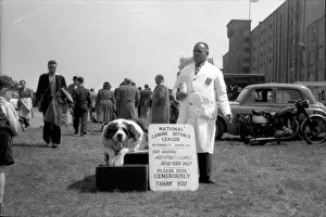 Horseracing: Epsom Derby - 1954