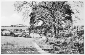 Tadworth: Epsom Downs, Surrey, viewed from Tadworth