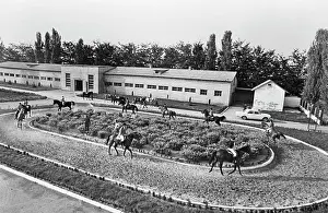 Shulepov: Equestrian centre