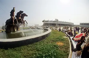 Venue: Equestrian centre in Bitsa Park, 1980