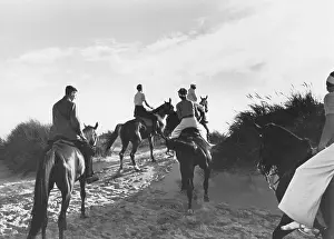 Equine: Equestrian sport
