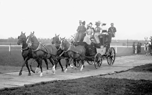 Equine: Equestrian sport