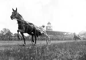 Harn: Equestrian sport