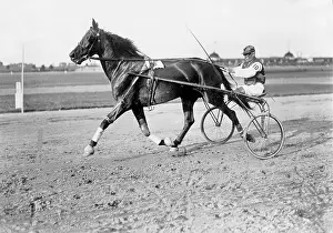 Harn: Equestrian sport