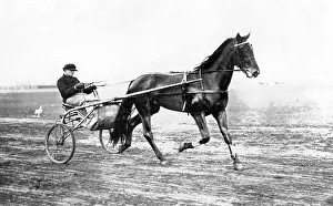 Harn: Equestrian sport