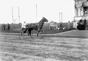 Harn: Equestrian sport