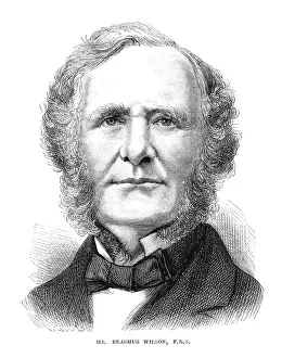 Erasmus: Erasmus Wilson