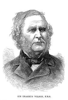 Erasmus: ERASMUS WILSON