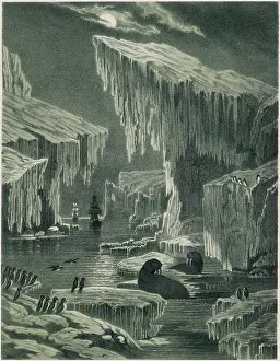 Walrus: Erebus and Terror in search of the Northwest Passage