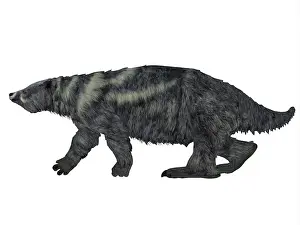 Eutheria: Eremotherium ground sloth, side view