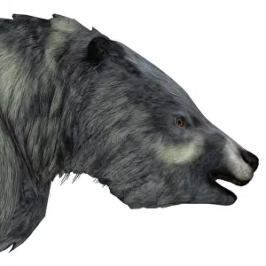 Eutheria: Eremotherium portrait on white background
