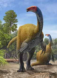 Searching: Erlikosaurus andrewsi dinosaurs in a prehistoric environment