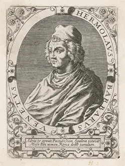 Verona: Ermolao Barbaro
