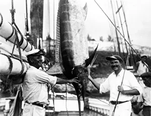 Marlin: Ernest Hemingway (1899-1961), posed with ?