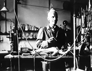 Starling: Ernest Henry Starling, English Physiologist