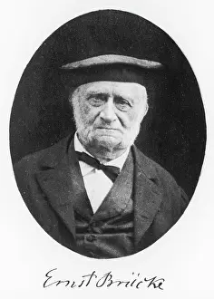 Physiologist: ERNST BRUCKE