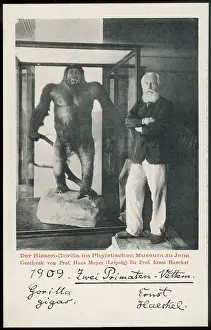 ERNST HAECKEL & GORILLA
