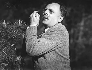Waldow: Ernst Waldow