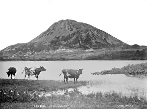 Placed: Errigal (Composite) a Composite View of the Errigal