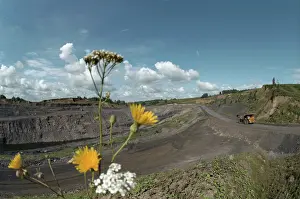 Oblast: Erunakovsky coal deposit
