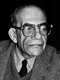 Wissenschaft: Erwin Panofsky