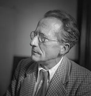 Particular: Erwin Schrodinger, Theoretical Physicist