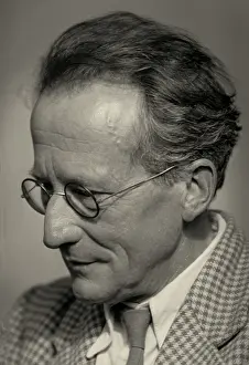 Particular: Erwin Schrodinger, Theoretical Physicist