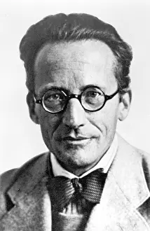 Mimicry: Erwin Schroedinger