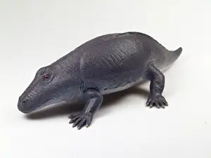 Temnospondyli: Eryops model