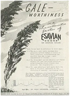 Esavian: Esavian Hangar Doors