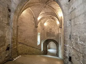 Combines: Escalier d'Honneur, Palais des Papes, Avignon, Provence