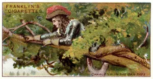 Hides: Escape of King Charles II