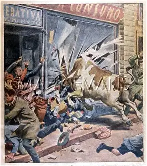 Pedestrains: ESCAPED BULL RUNS AMOK