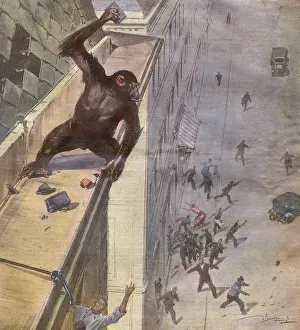 Gland: ESCAPING MONKEY/1932