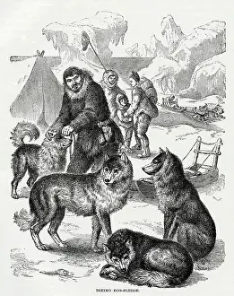 Eskimo: Eskimo dog-sledge