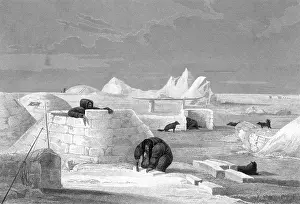 Franklins: ESKIMOS BUILD IGLOO 1