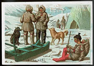 Eskimos: ESKIMOS SLEDGE