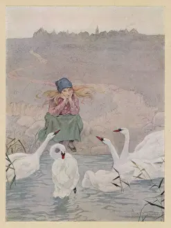 Unhappily: Esmilda consoled by sympathetic swans