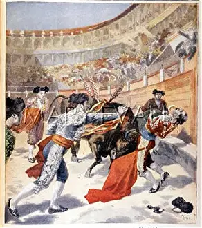 Espartero: ESPARTERO KILLED BY BULL
