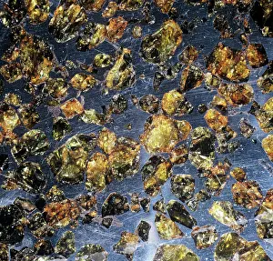Nickel: The Esquel pallasite