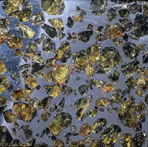 Nickel: The Esquel pallasite