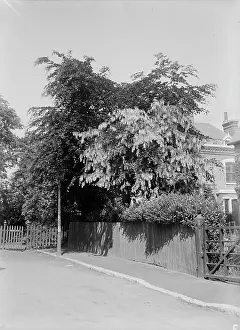 Essenden Road, Belvedere