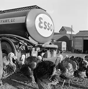 Logos: Esso Tanker