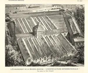 Lillustration: Establishment of the International Horticultural