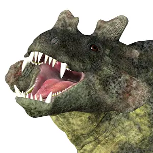 Synapsid: Estemmenosuchus dinosaur head